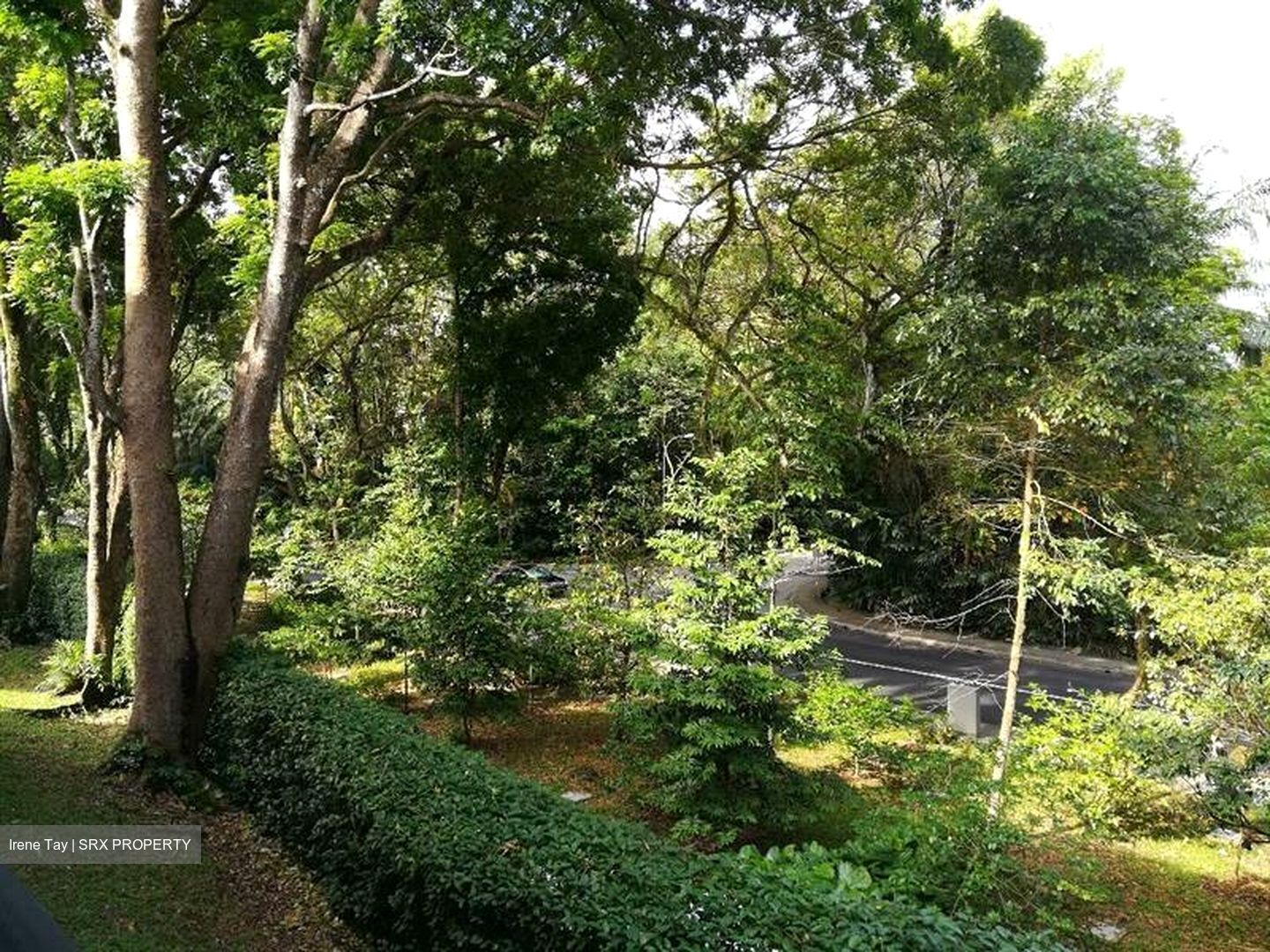 Tanglin Park (D10), Condominium #565680491